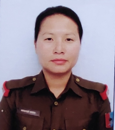 Player Profile