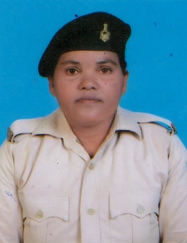 Player Profile
