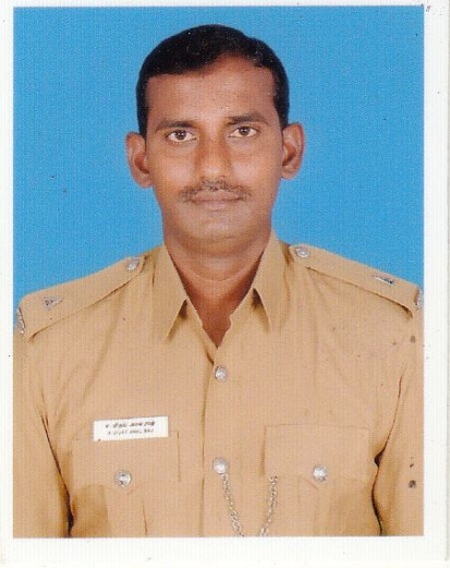 Player Profile