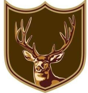 AIPSCB-Wrestling Cluster-2024-25