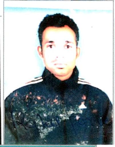 Player Profile