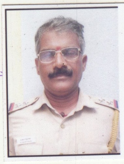 Player Profile